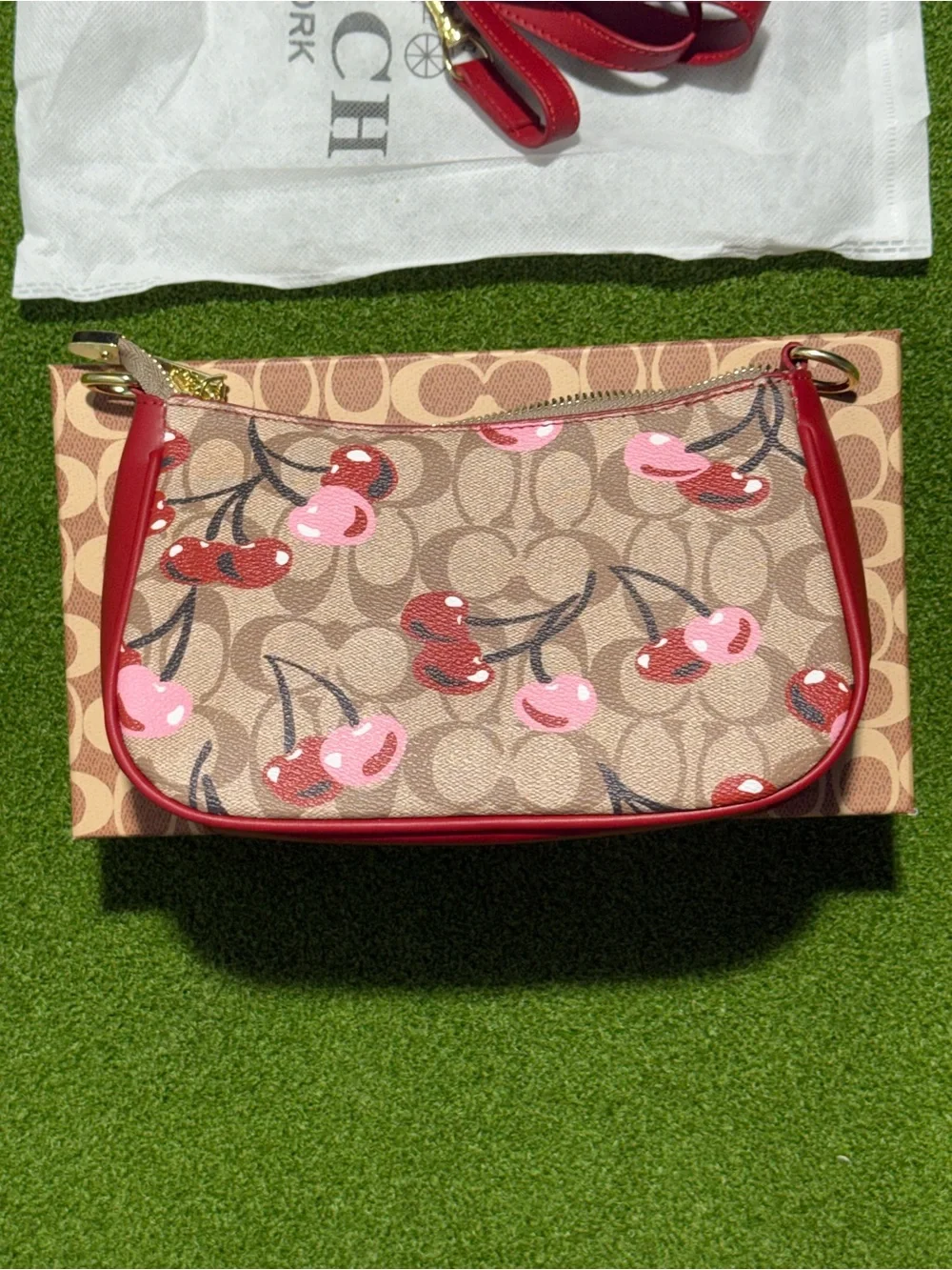 Coach Cherry-Print Signature Canvas Crossbody with cherry design